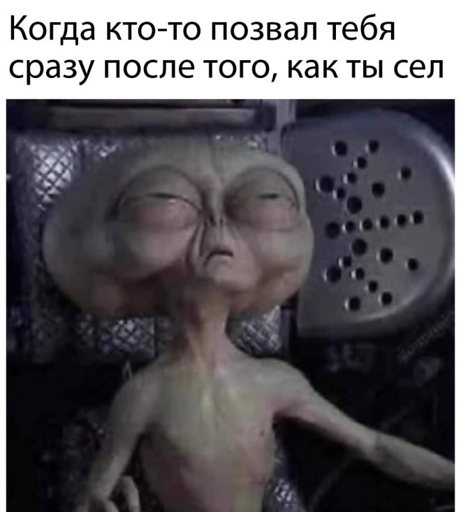 Приколы
