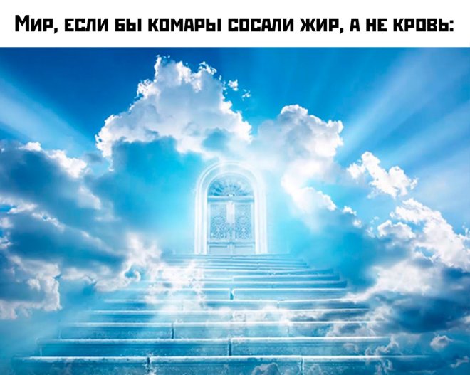 Если бы комары сосали жир а не кровь