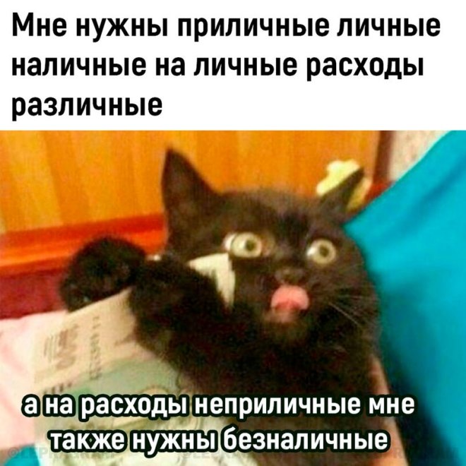 Мемы дня