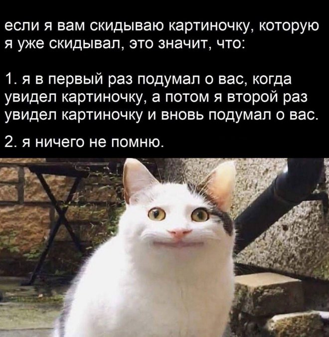 Моя память