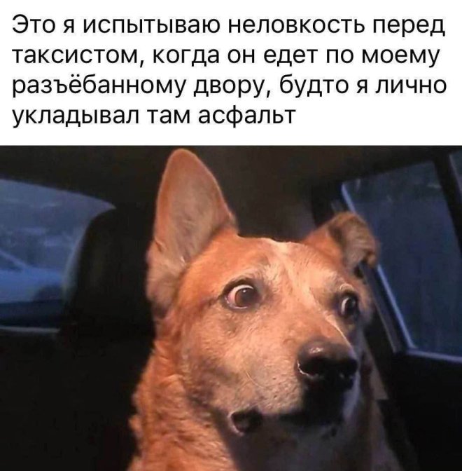 Веселые приколы в мемах