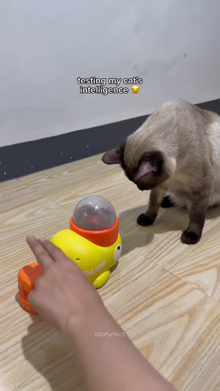Кожаный, зачем все усложнять?