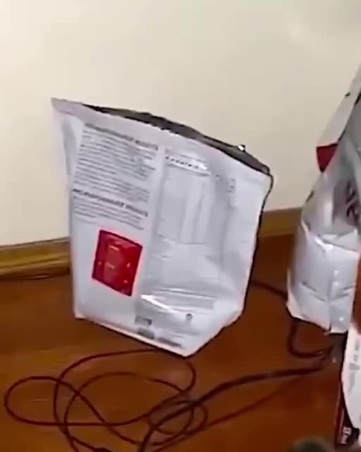 Почему кошки боятся мышей? Ответ простой!