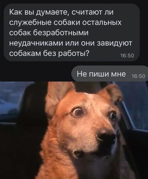 Веселые картинки для настроения