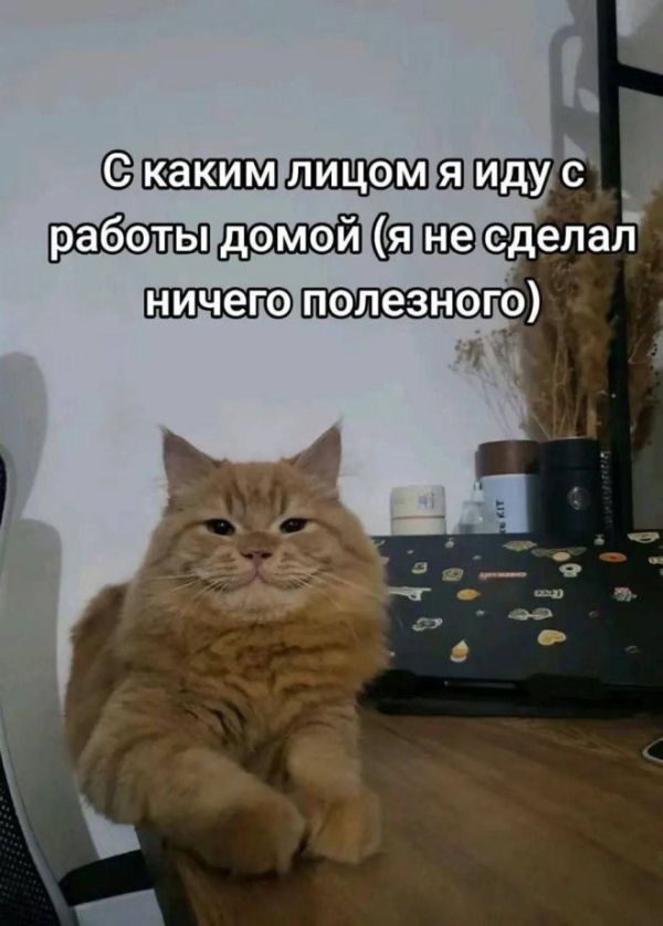 Юмор в мемах