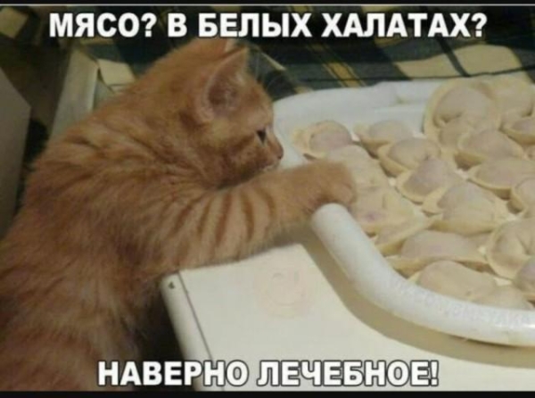 Веселые картинки для настроения