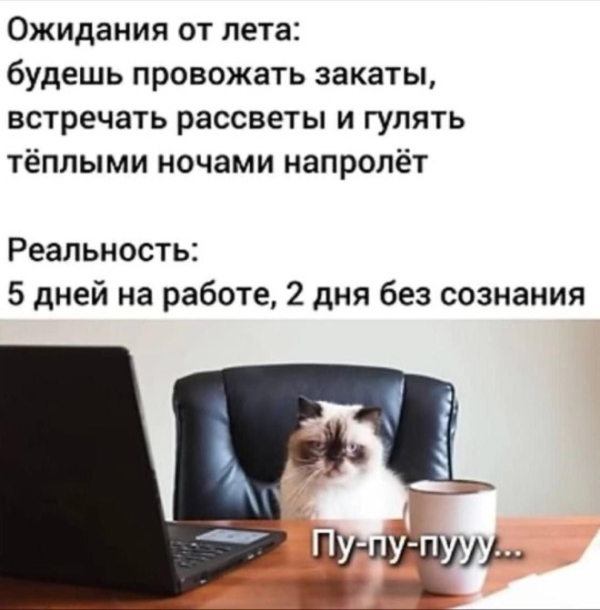 Юмор в мемах