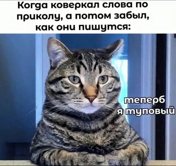 Юмор в мемах