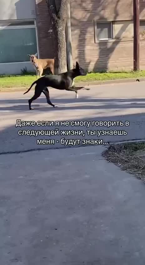 Ты узнаешь меня в следующей жизни - будут знаки 🤣