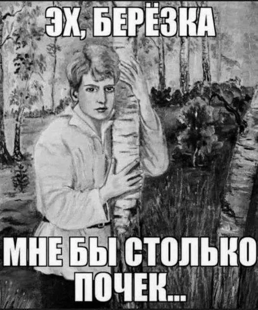 Эх березка, мне бы столько почек