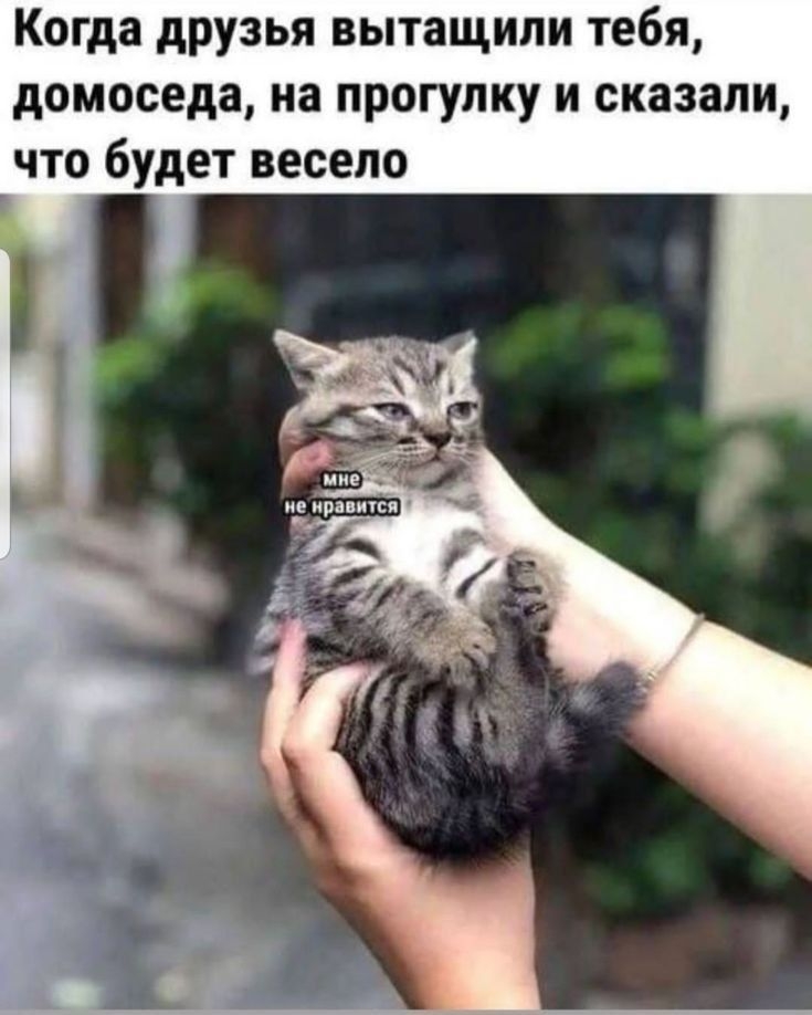 Когда друзья тебя домоседа, вытащили на улицу