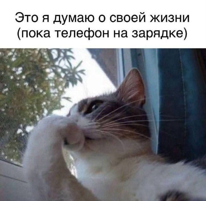 Это я думающий о своей жизни