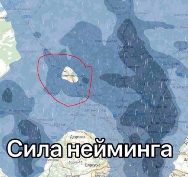 Приколы