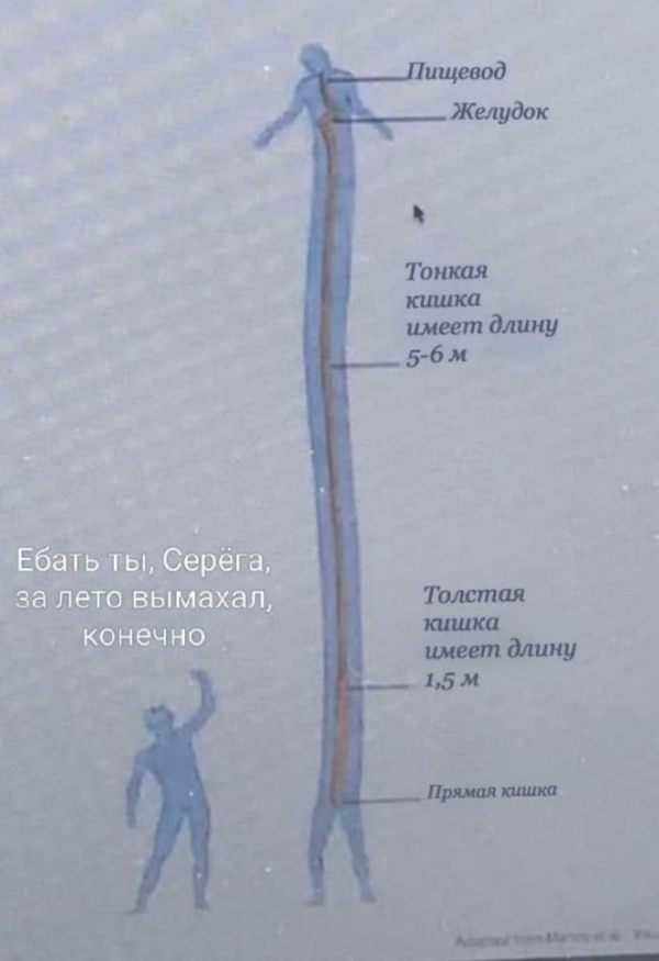 Приколы