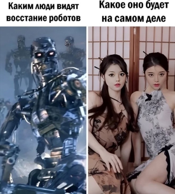 Приколы
