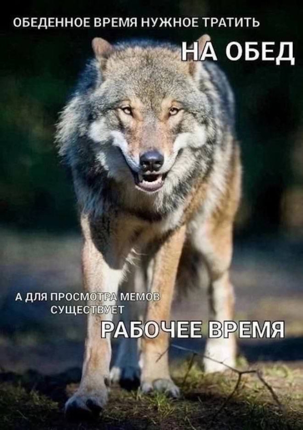 Приколы