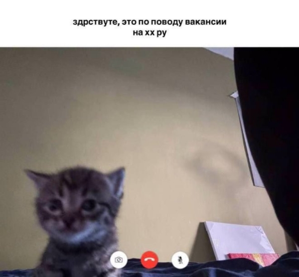 Приколы