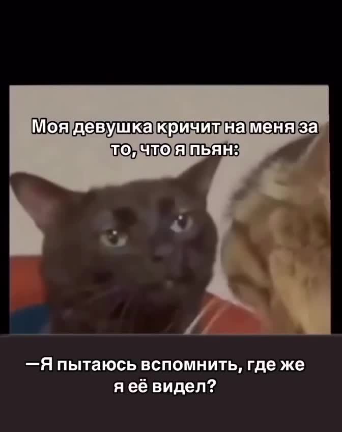 Моя девушка кричит на меня за то что я пьян