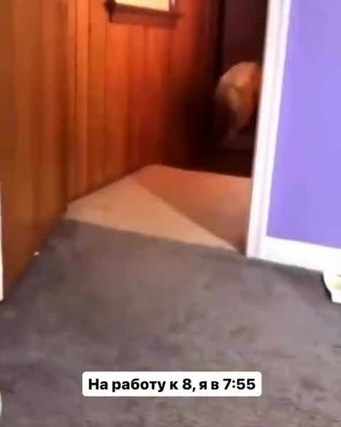 На работу к 8, я в 7:55