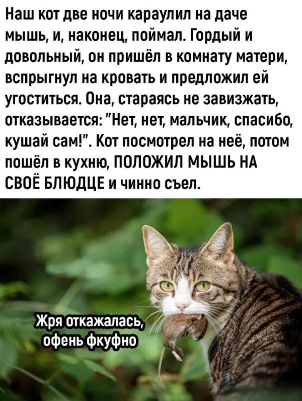 Смешной мем на prikola.net