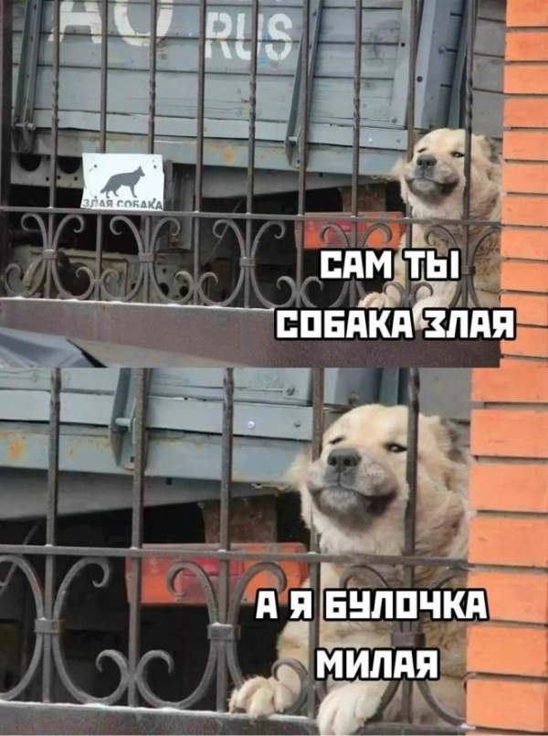 Смешной мем на prikola.net