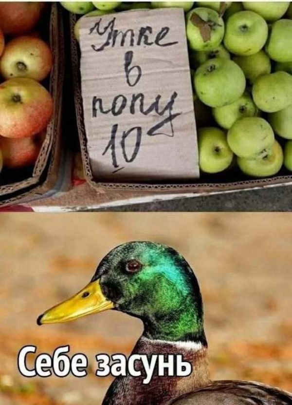 Смешной мем на prikola.net