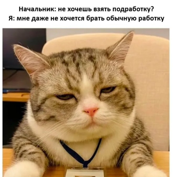 Смешной мем на prikola.net