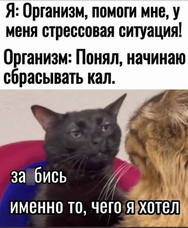 Смешной мем на prikola.net