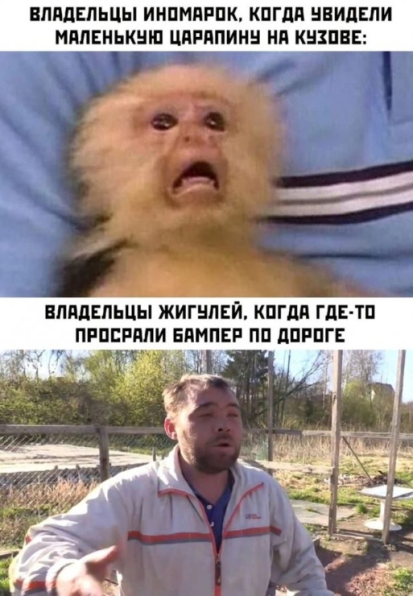 Смешные приколы