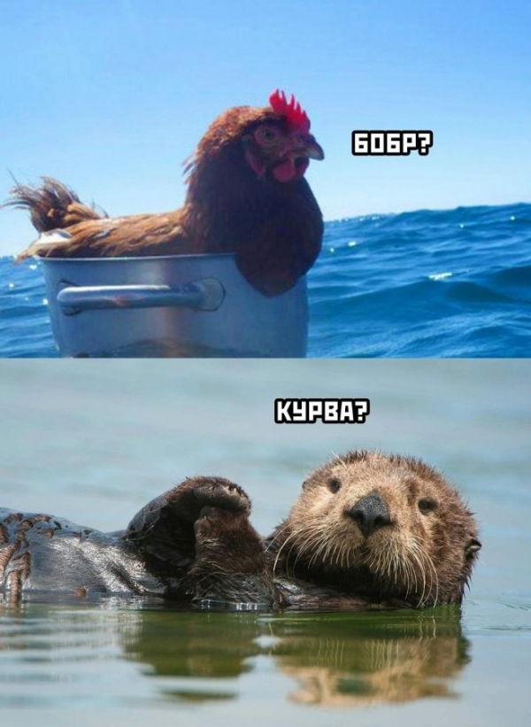 Смешной мем на prikola.net