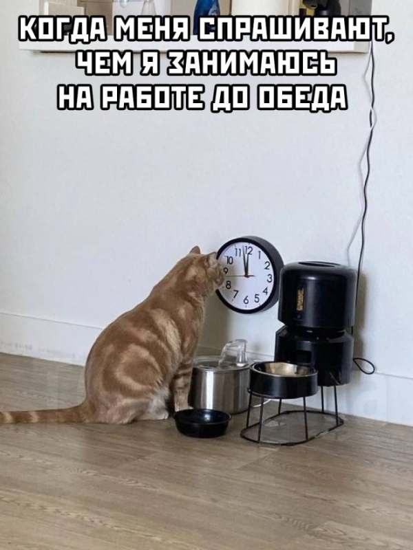 Смешной мем на prikola.net