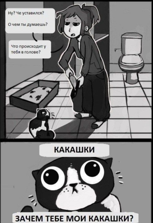 Что думает кот когда вы убираете его лоток
