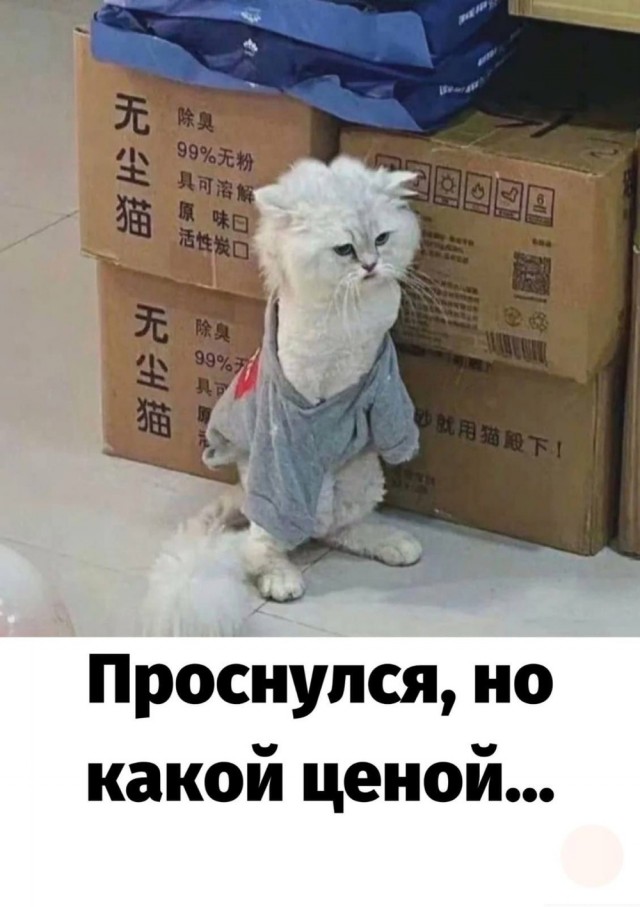 Когда ты рано встаешь на работу