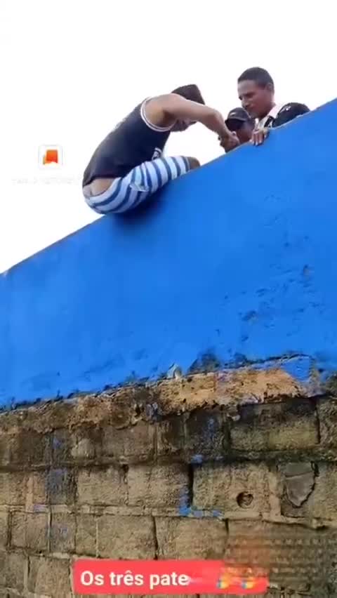 Променяли кореша на мяч: лучшие друзья, сразу видно