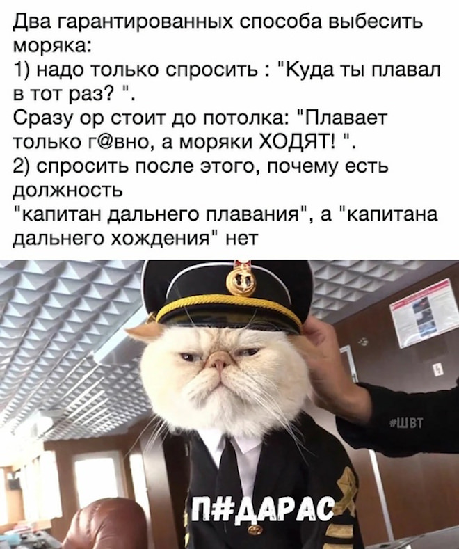 Мем на день