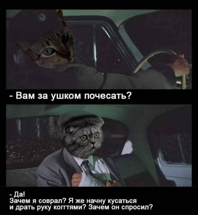 Отборный юмор