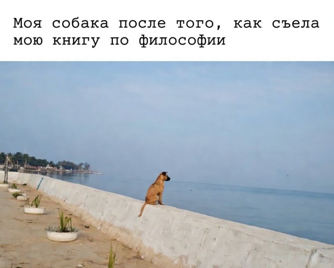 Прикольный мем