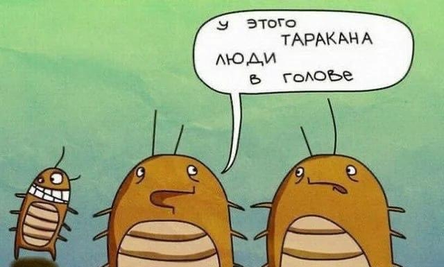 Когда у тараканов люди в голове