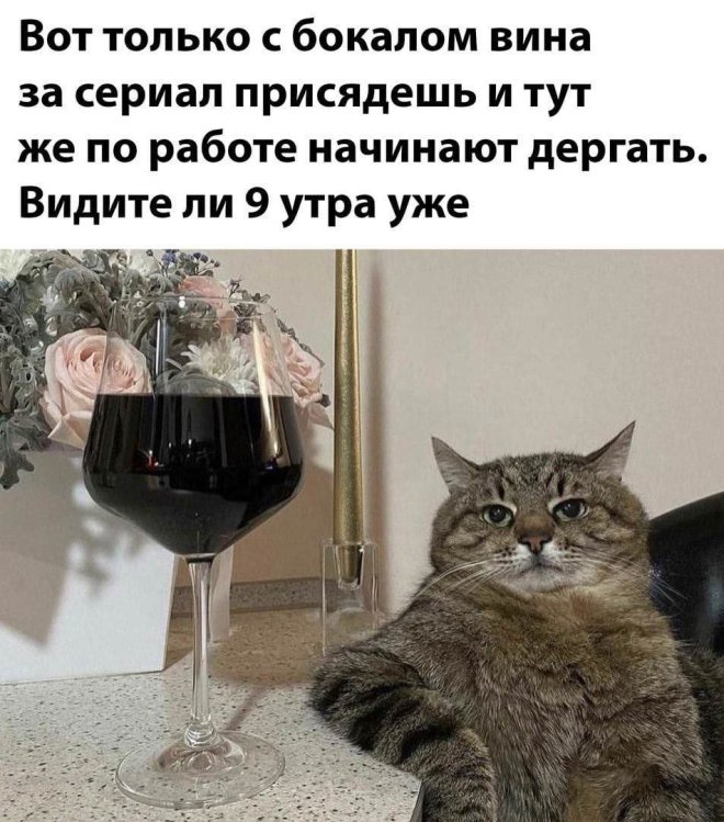 Юмор в картинке с надписью