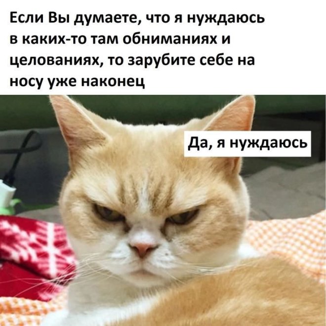 Мем на день