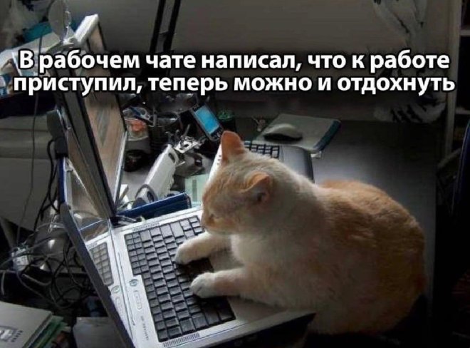 Смешной мем