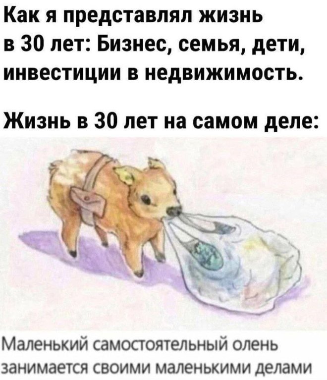 Юмор в картинке с надписью