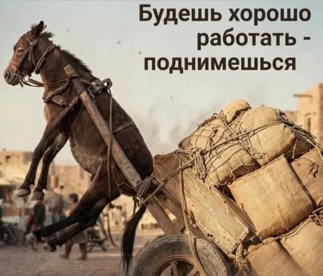 Мем на день