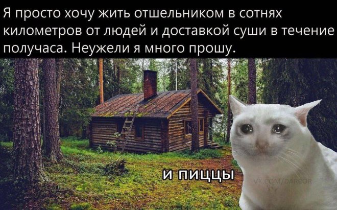 Мем на день