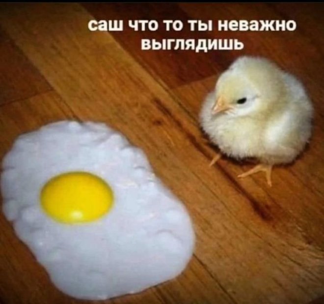 Юмор в картинке с надписью