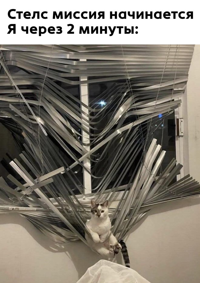 Юмор в картинке с надписью