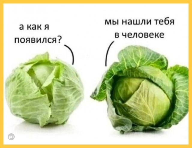 Когда капуста спросила откуда она появилась