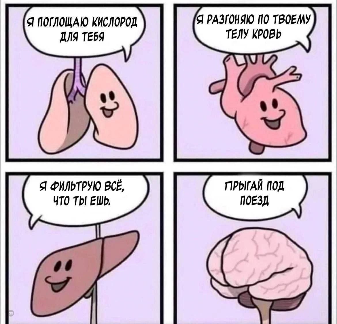 Черный юмор о работе наших огранов