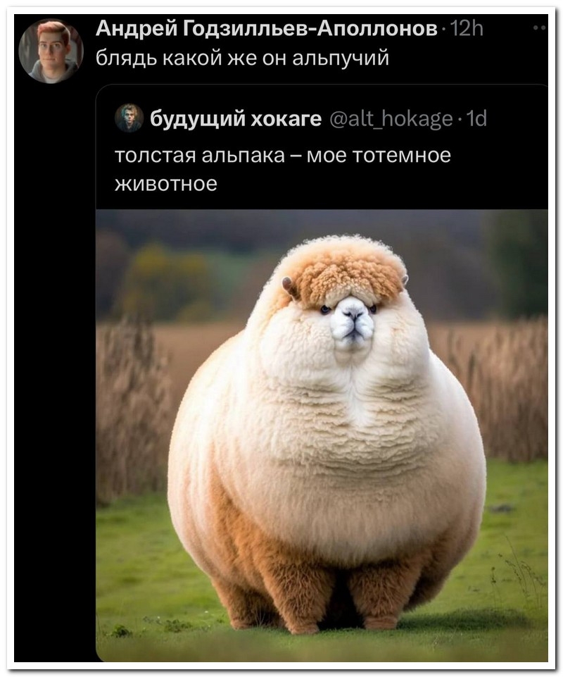 Смешной коммент