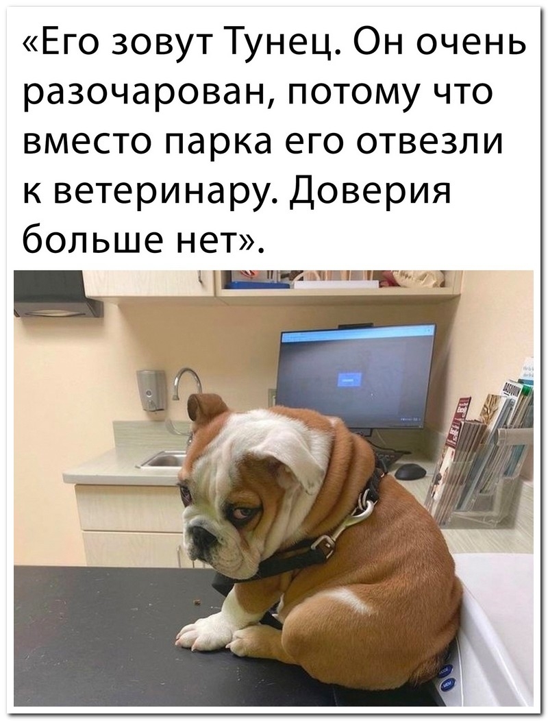 Смешной коммент